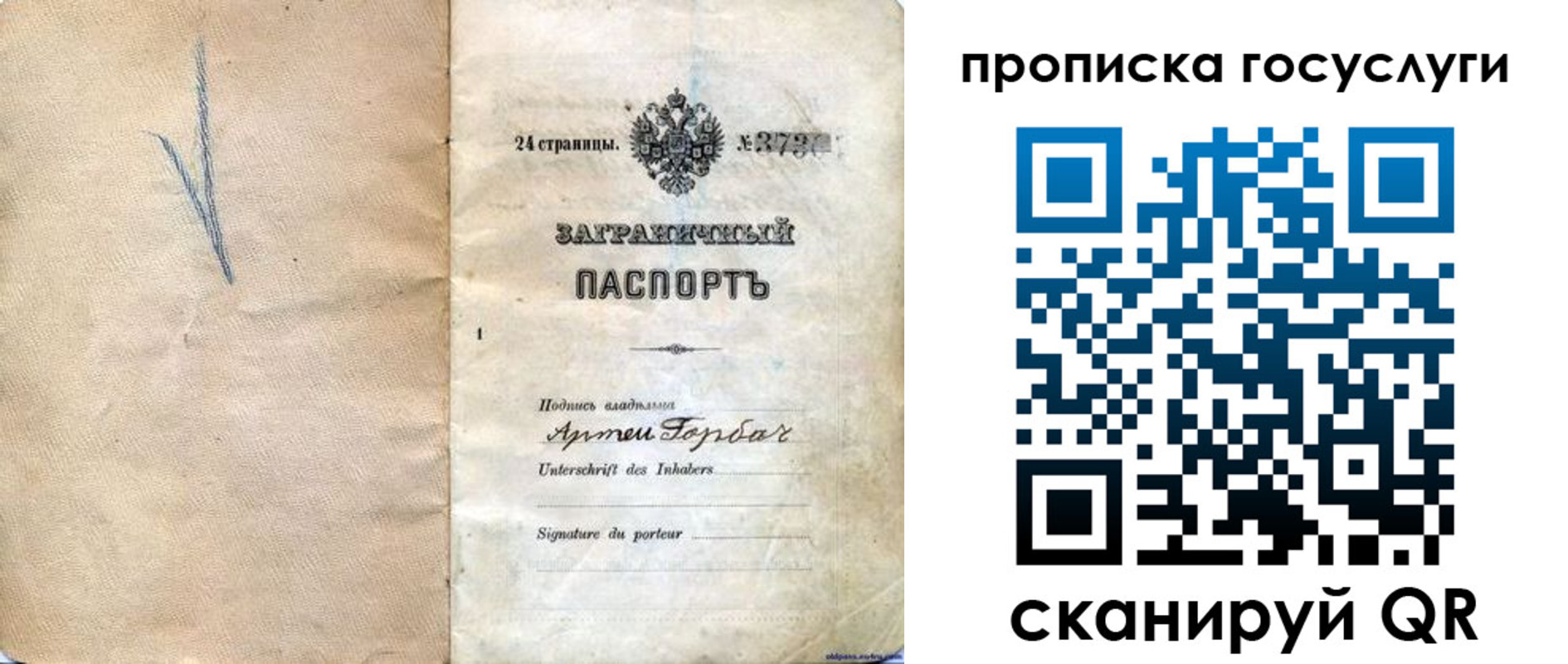 прописка законно в Фролово